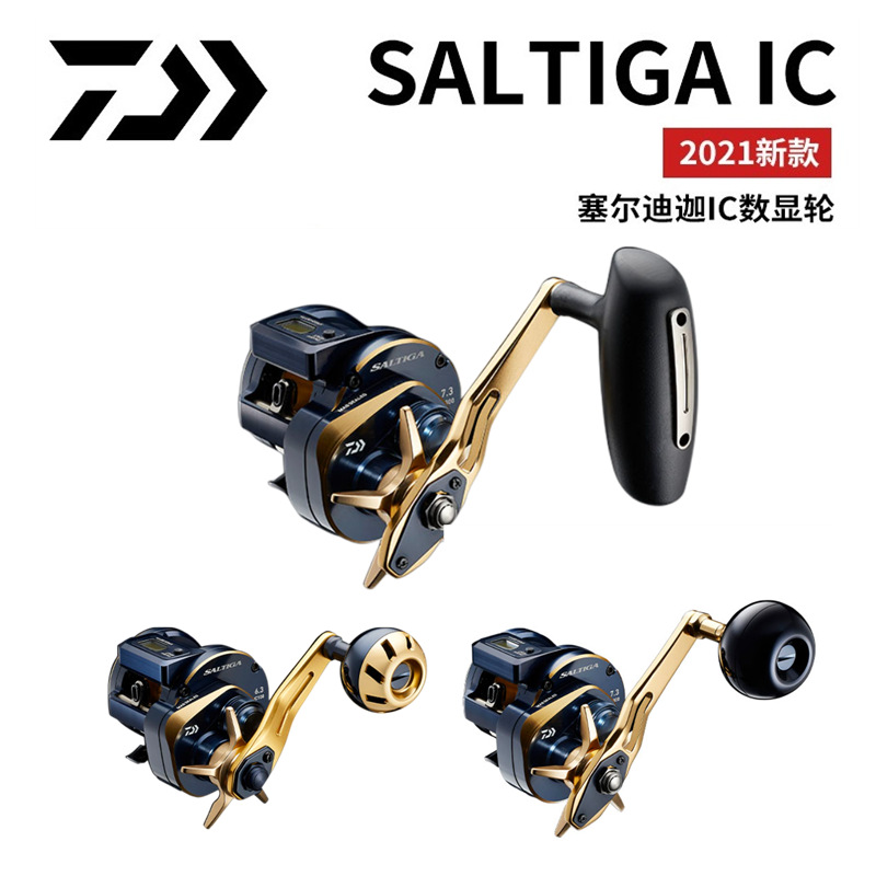 21 Japanse DAIWA Daiwa SALTIGA - Electric Reel recensie en prijs